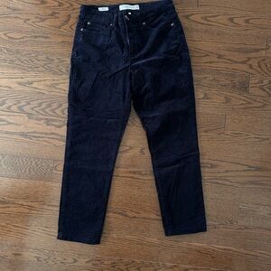 Contemporaine (Simons) Marine velvet strength pants